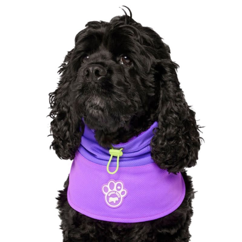 CANADA POOCH Max Chill Cooling Snood Purple