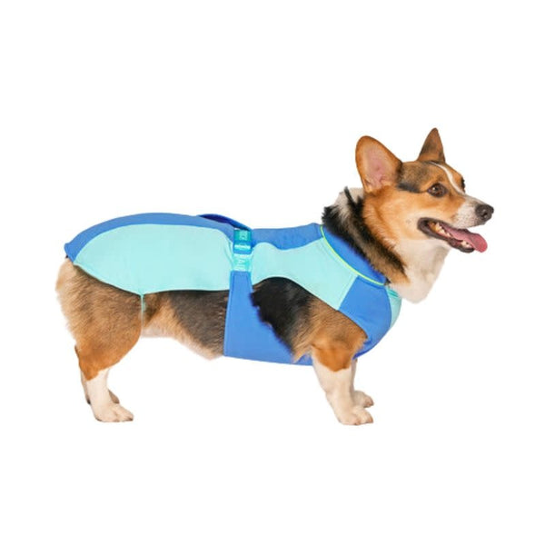 CANADA POOCH Max Chill Cooling Vest Blue