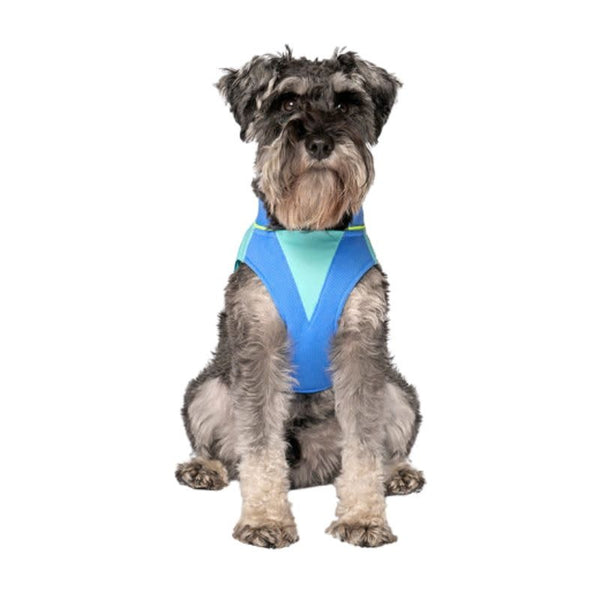 CANADA POOCH Max Chill Cooling Vest Blue