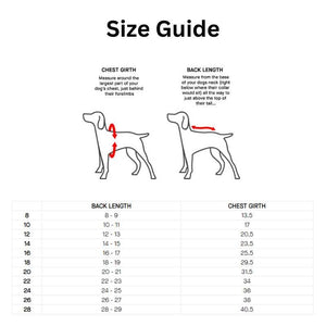 CANADA POOCH Reversible Puffer Vest Blue/Teal