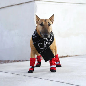 CANADA POOCH Soft Shield Boot Red