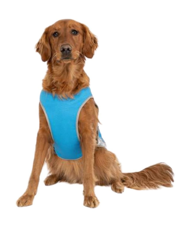 CANADA POOCH Chill Seeker Cooling Vest Blue