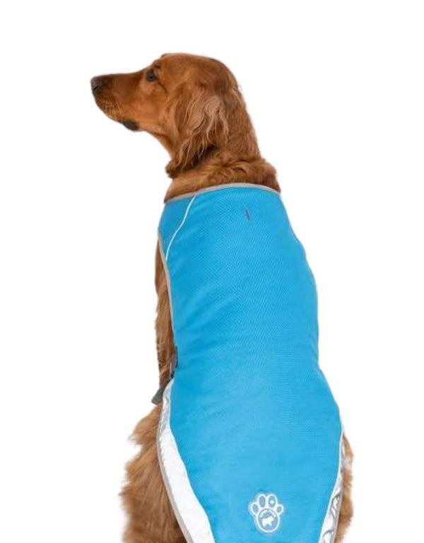 CANADA POOCH Chill Seeker Cooling Vest Blue