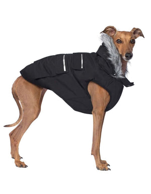 CANADA POOCH Black Everest Explorer Coat