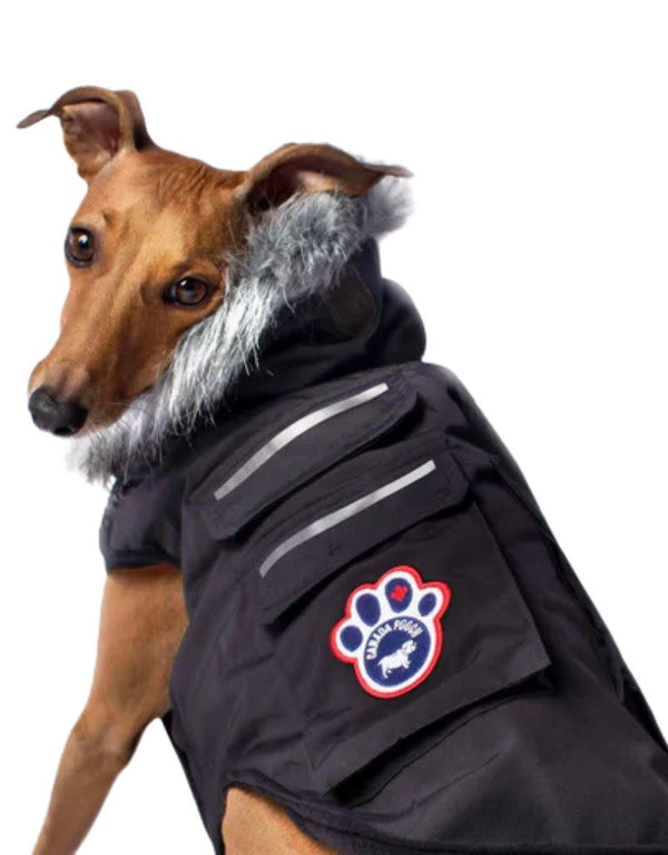 CANADA POOCH Black Everest Explorer Coat