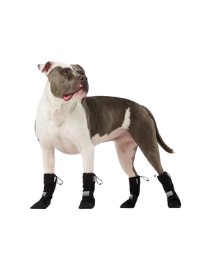 CANADA POOCH Soft Shield Boot Black