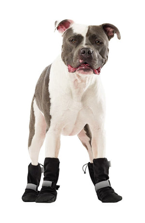 CANADA POOCH Soft Shield Boot Black