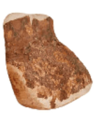 CANOPHERA Briar Wood Chew