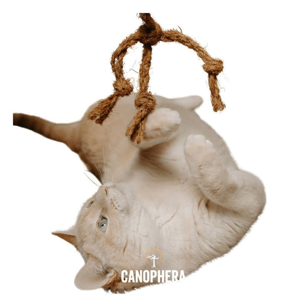 CANOPHERA Coco Spider Cat Toy