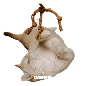CANOPHERA Coco Spider Cat Toy