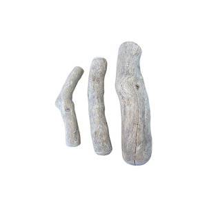 CANOPHERA Coffee Wood Dog Chew Stick