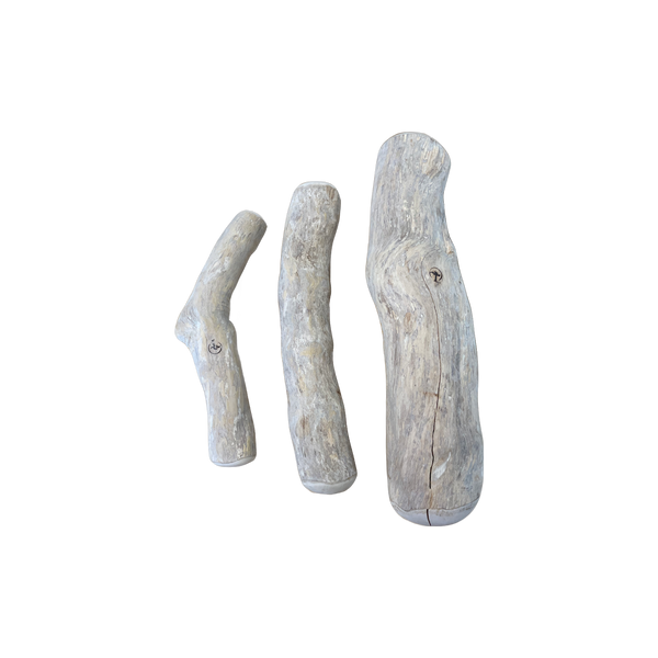 CANOPHERA Coffee Wood Dog Chew Stick