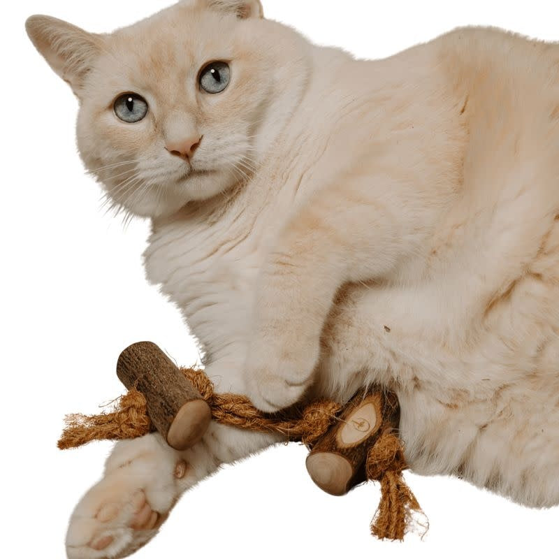 CANOPHERA Olive Twin Cat Toy