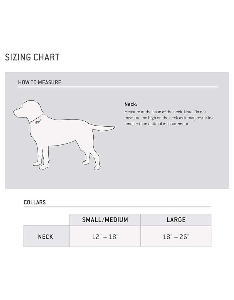 CARHARTT Dog Collar Orange