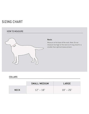 CARHARTT Dog Collar Orange