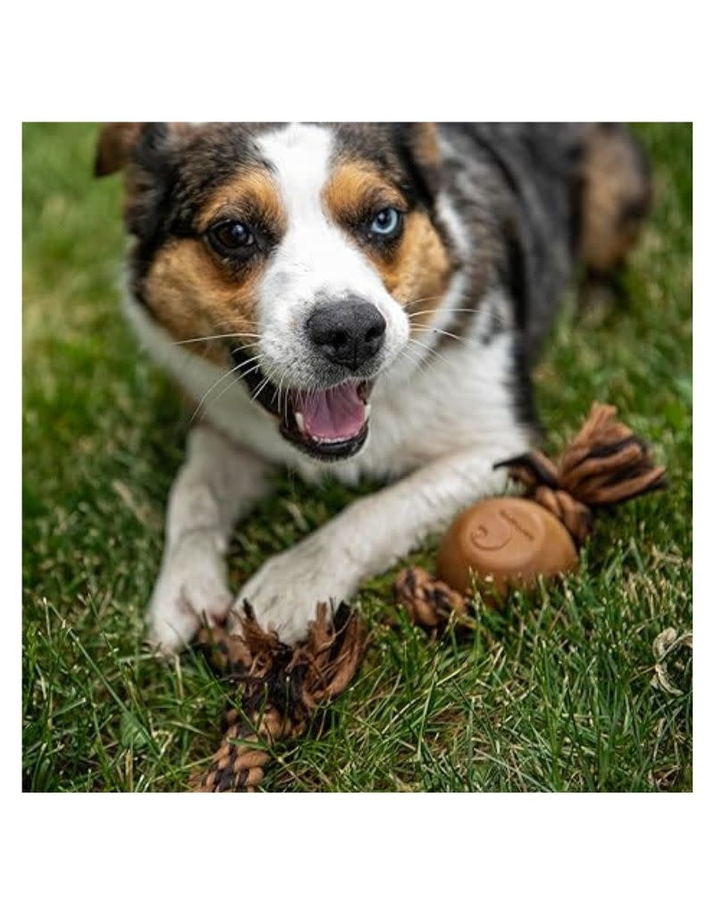 CARHARTT Rubber Ball Dog Toy