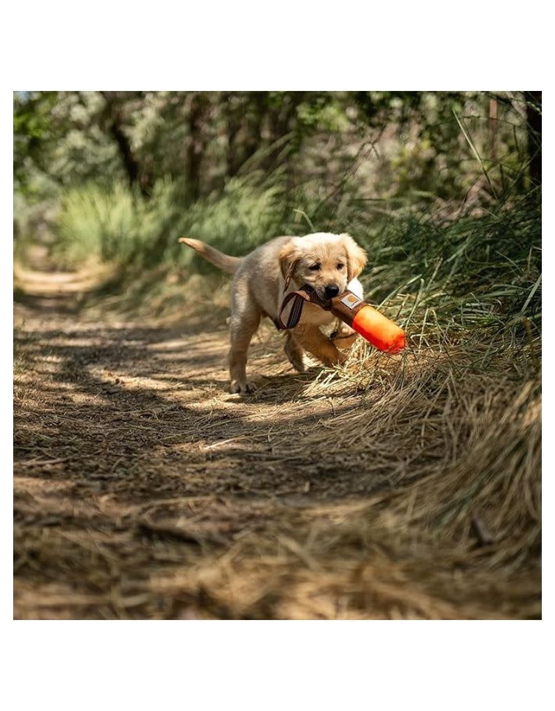 CARHARTT Training Bumper Dog Toy