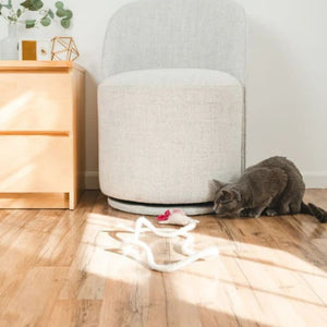 CAT IN THE BOX Wool Axolotl  Cat Toy with 5-Foot Tether