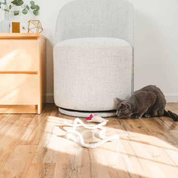 CAT IN THE BOX Wool Axolotl  Cat Toy with 5-Foot Tether