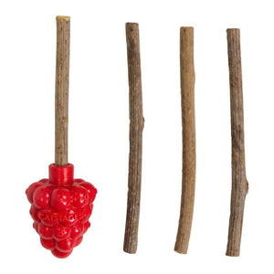 CATSTAGES Raspberry Silvervine Teether