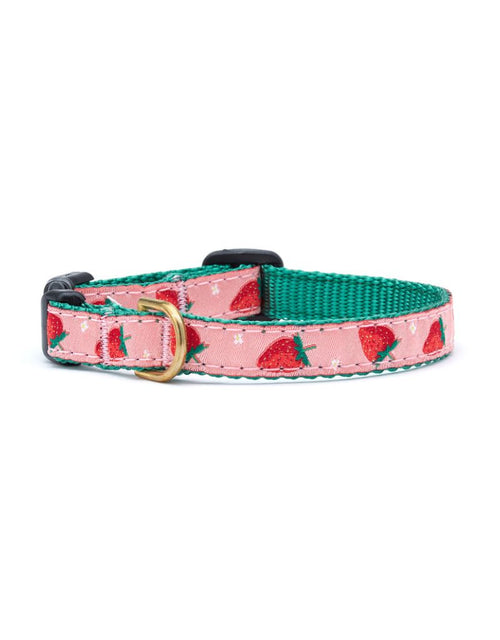 UP COUNTRY Small Breed Dog Collar Strawberry Fields