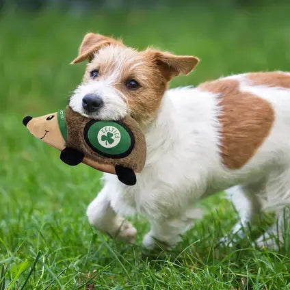 PETS FIRST Celtics Hedgehog Toy