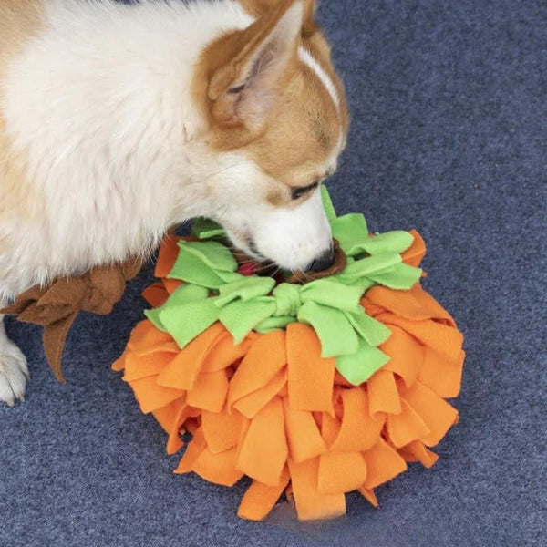 CHEERHUNTING Snuffy Pumpkin Pet Snuffle Ball