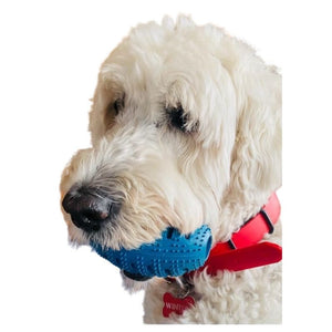 CHEWMATE Treatbrush Football