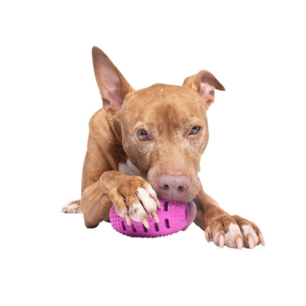 CHEWMATE Treatbrush Football