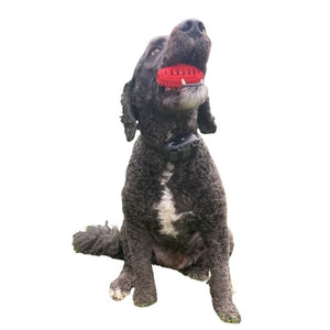 CHEWMATE Treatbrush Football