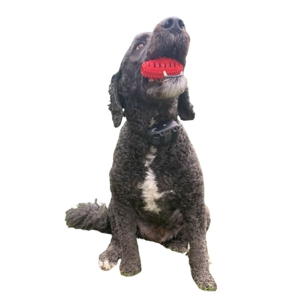 CHEWMATE Treatbrush Football