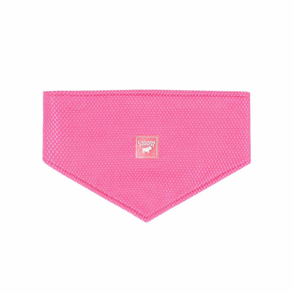 CANADA  POOCH Chill Seeker Cooling Bandana Neon Pink