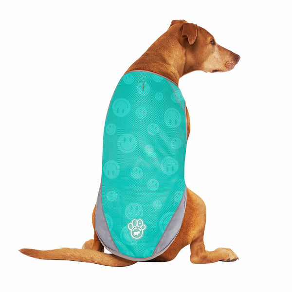 CANADA POOCH Chill Seeker Cooling Vest Wet Reveal