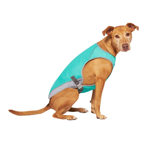 CANADA POOCH Chill Seeker Cooling Vest Wet Reveal