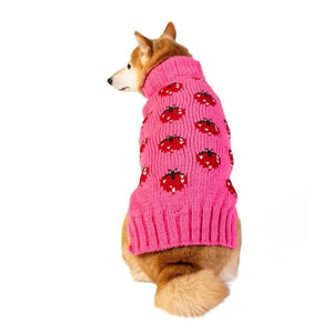 CHILLY DOG Dog Sweater Strawberry