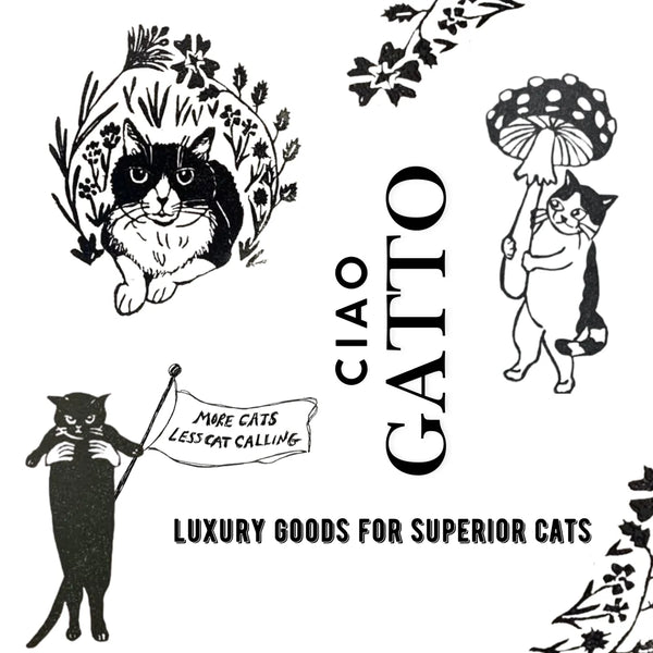 CIAO GATTO Let’s Dance David Refillable Organic Catnip Kicker Cat Toy