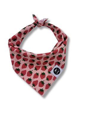 FISH & BONE  Bandana Strawberries