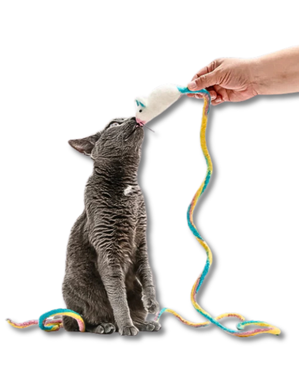CAT IN THE BOX Wool Mouse Cat Toy 6 Foot Tail Unicorn