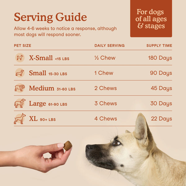 FERA PET ORGANICS Dog and Cat Probiotics with Prebiotics Soft Chews