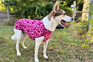 RUFFWEAR Climate Changer Fleece Vest Berry Lava