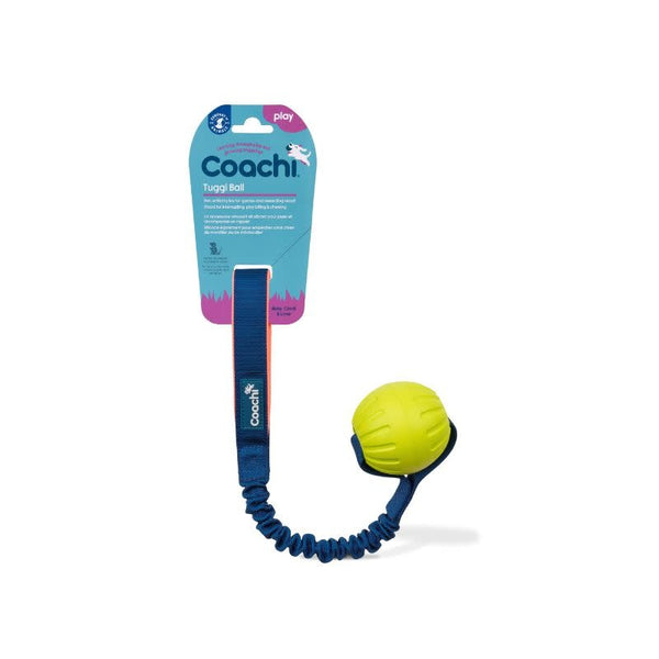 COACHI Tuggi Ball Dog Toy