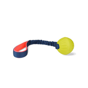 COACHI Tuggi Ball Dog Toy