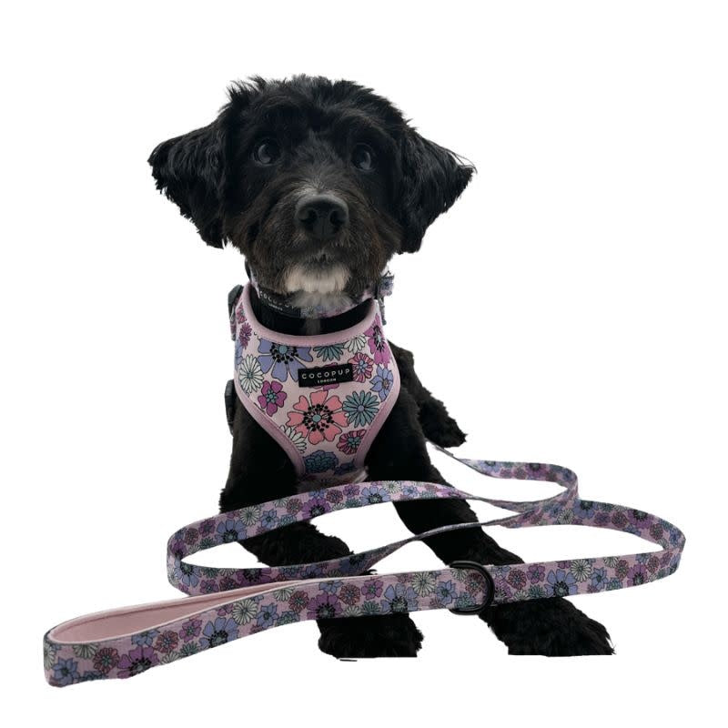 COCOPUP Lead Pastel Flowers