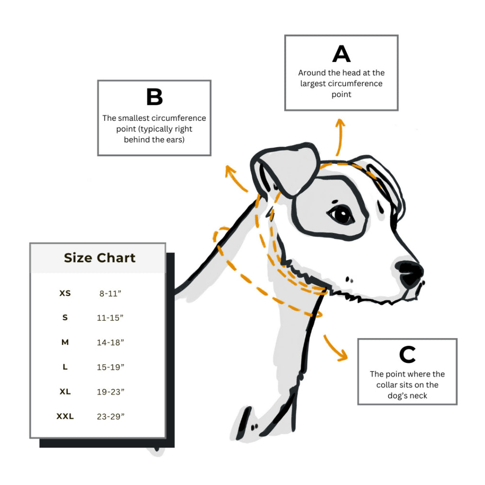 MACKENZIE Vista Sail Dog Collar