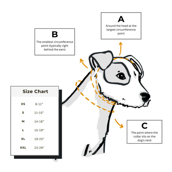 MACKENZIE Vista Sail Dog Collar