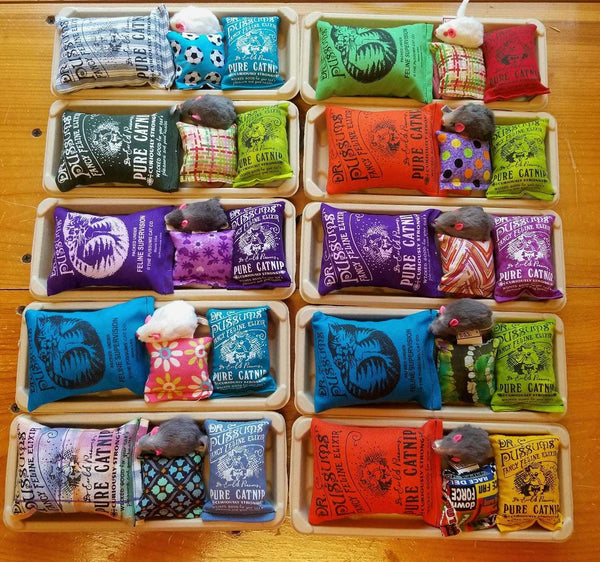 DR. PUSSUMS  Party Pack Combo