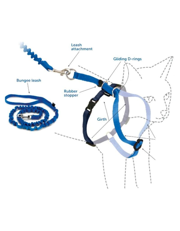 Come With Me Kitty Black