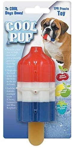 COOL PUP Rocket Pop Toy