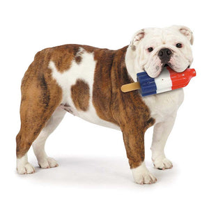 COOL PUP Rocket Pop Toy