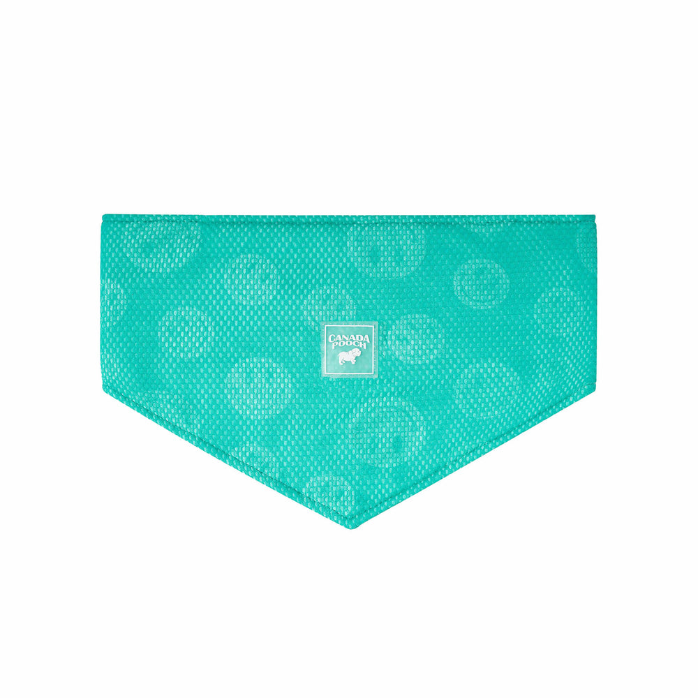 CANADA  POOCH Chill Seeker Cooling Bandana Wet Reveal